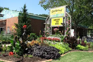 Shadycreek Nursery & Garden, Inc. image