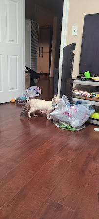 Plastic Express - Photo 4 - Car repair in Stockton, CA, Stockton