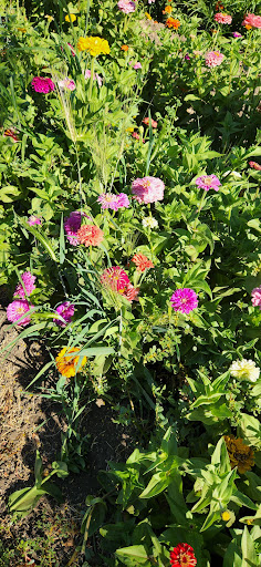 Produce Market «Underwood Family Farms», reviews and photos, 3370 Sunset Valley Rd, Moorpark, CA 93021, USA