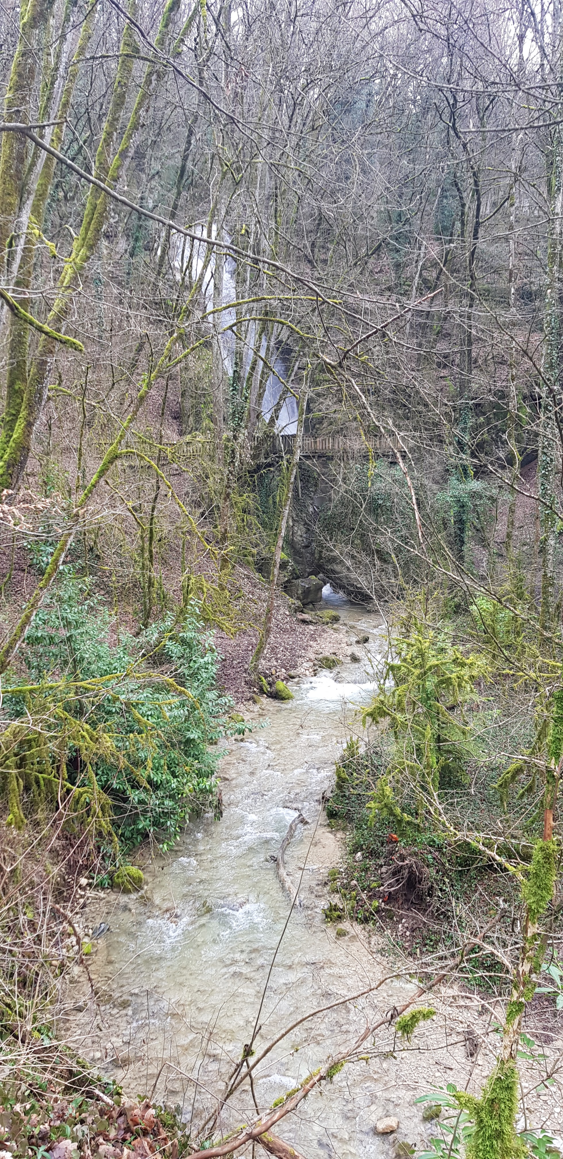 Photo n° 1 de l'avis de Lucie.e fait le 04/02/2021 à 12:46
