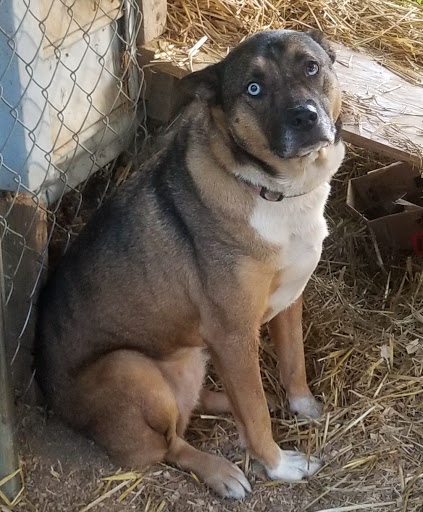 2105 Princess Anne St, Fredericksburg, VA 22401, USA