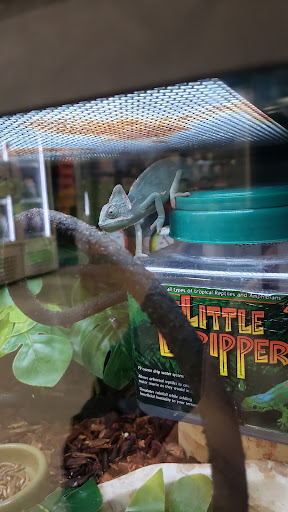 Pet Supply Store «Petco Animal Supplies», reviews and photos, 165 N McDowell Blvd, Petaluma, CA 94954, USA