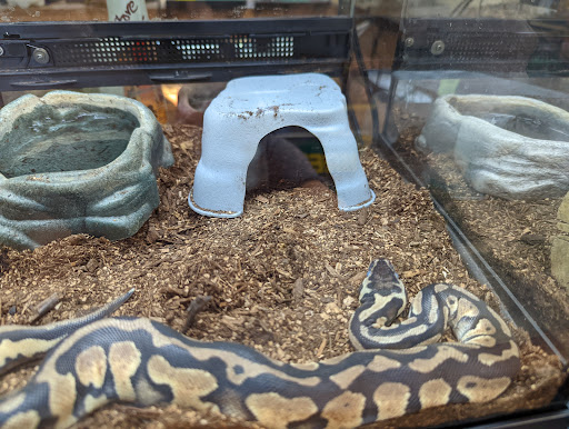 Pet Store «Just Pets», reviews and photos, 393 NY-5, Irving, NY 14081, USA