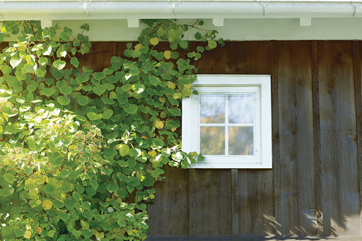 Paint Store «Enfield Paint», reviews and photos, 401 Enfield St, Enfield, CT 06082, USA