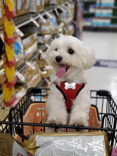 Pet Supply Store «Petco Animal Supplies», reviews and photos, 1610 Avenue Y, Brooklyn, NY 11235, USA