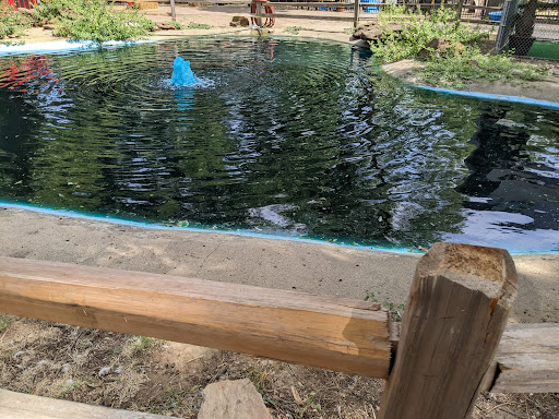 Zoo «Fritz Park Petting Farm», reviews and photos, 312 E Vilbig St, Irving, TX 75060, USA