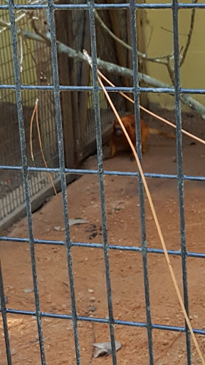 Zoo «ZooWorld Zoological and Botanical Conservatory», reviews and photos, 9008 Front Beach Rd, Panama City Beach, FL 32407, USA