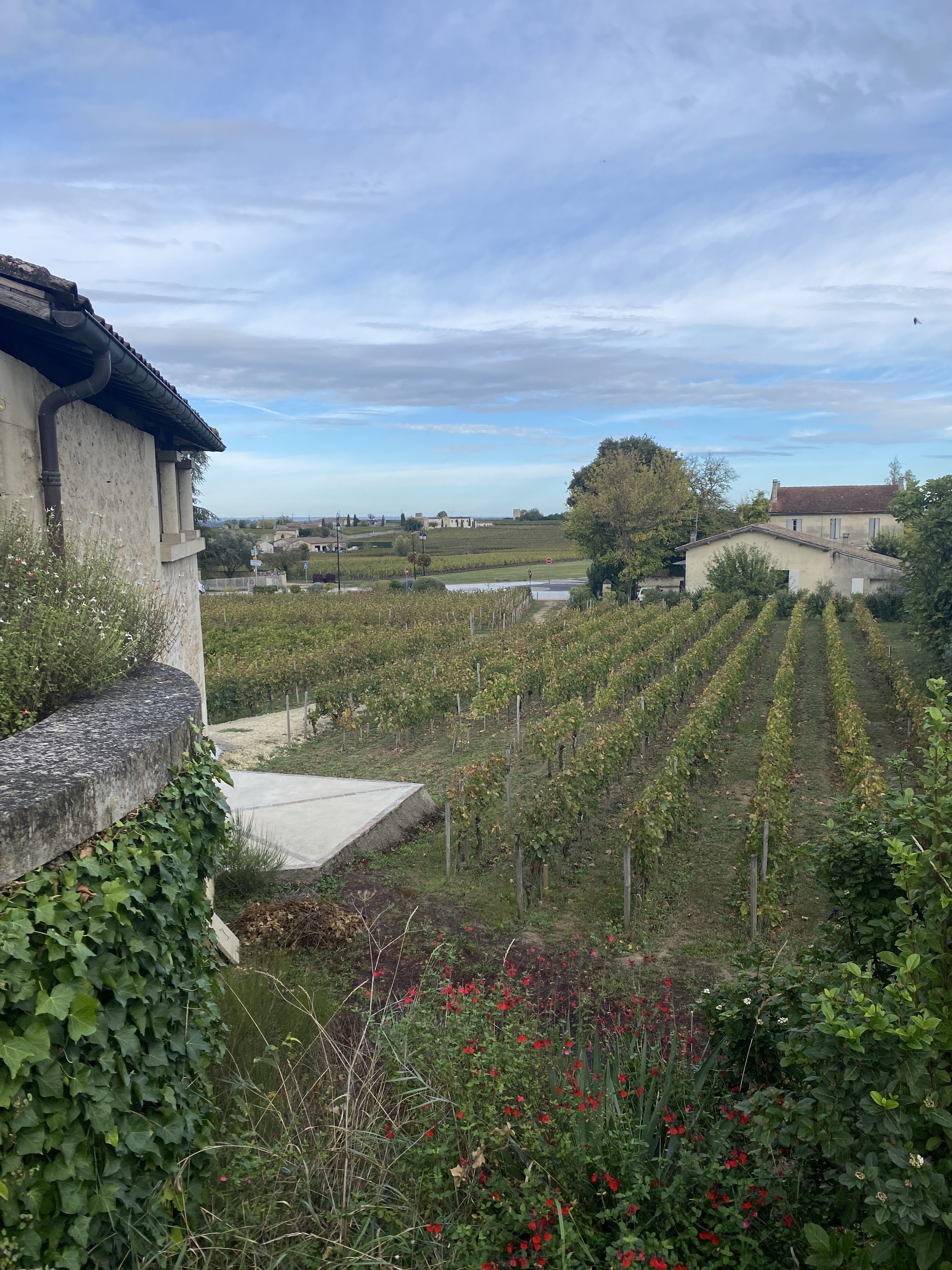 Photo n° 1 de l'avis de Majella.' fait le 19/10/2023 à 15:13