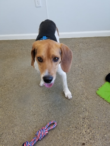 Elk Country Animal Shelter