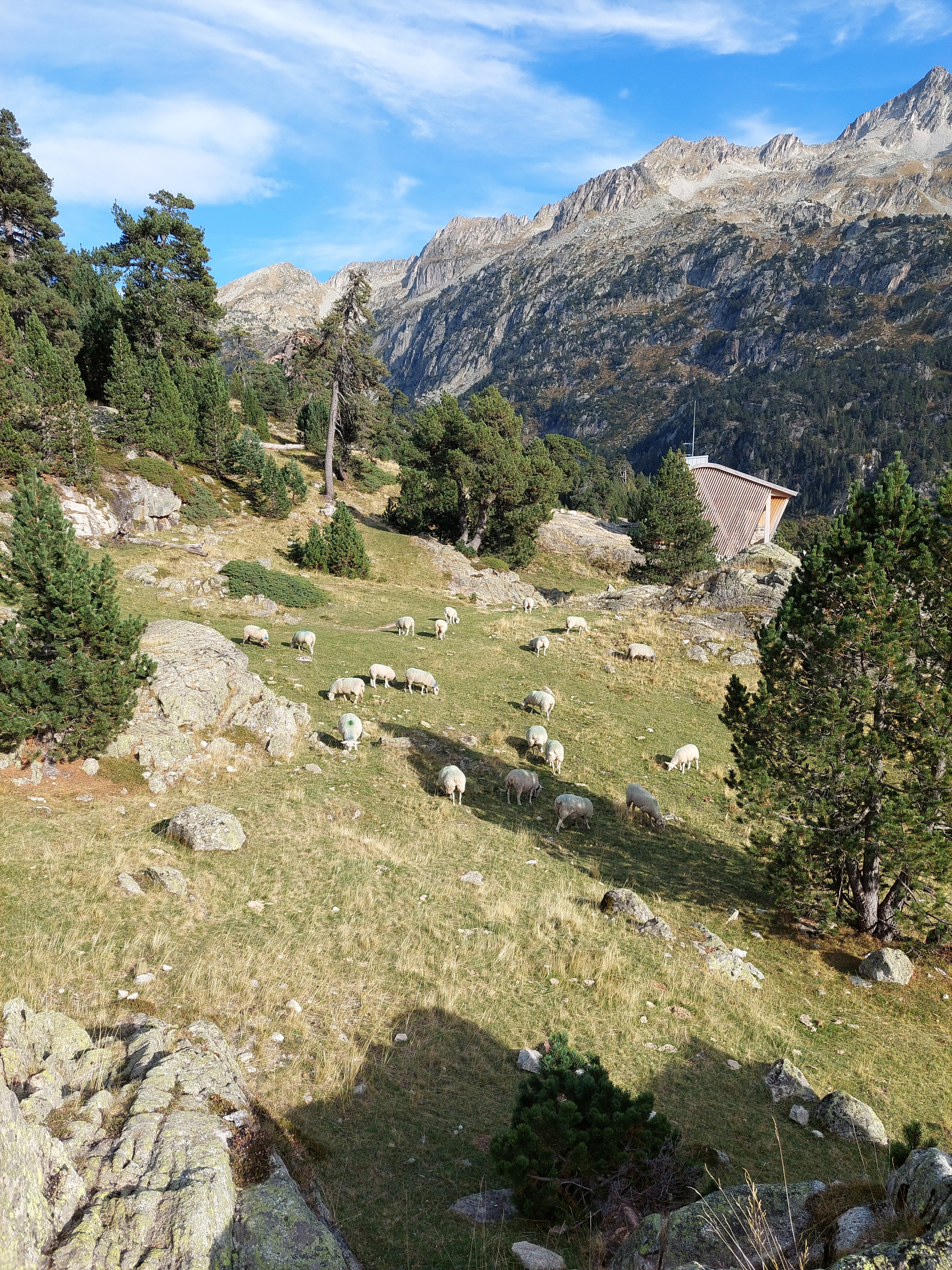 Photo n° 5 de l'avis de Virginie.a fait le 14/10/2023 à 18:50
