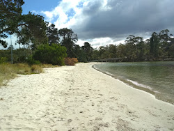 Snug Beach'in fotoğrafı - rahatlamayı sevenler arasında popüler bir yer