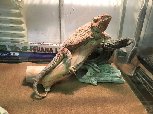 Pet Store «Mike Pet Center LLC», reviews and photos, 133 NJ-35, Neptune City, NJ 07753, USA