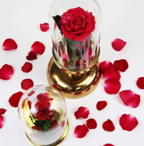 Department Store «Sears», reviews and photos, 2650 E Olympic Blvd, Los Angeles, CA 90023, USA