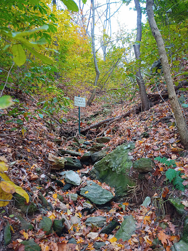 Nature Preserve «Turkey Hill Overlook Trail», reviews and photos, River Rd, Conestoga, PA 17516, USA