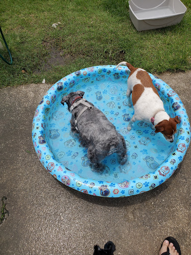 Park «Al Helms Dog Park», reviews and photos, 1022 Balboa Ave, Panama City, FL 32401, USA