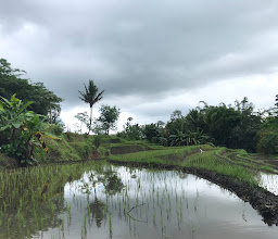 Pemandian Sumber Jeruk photo