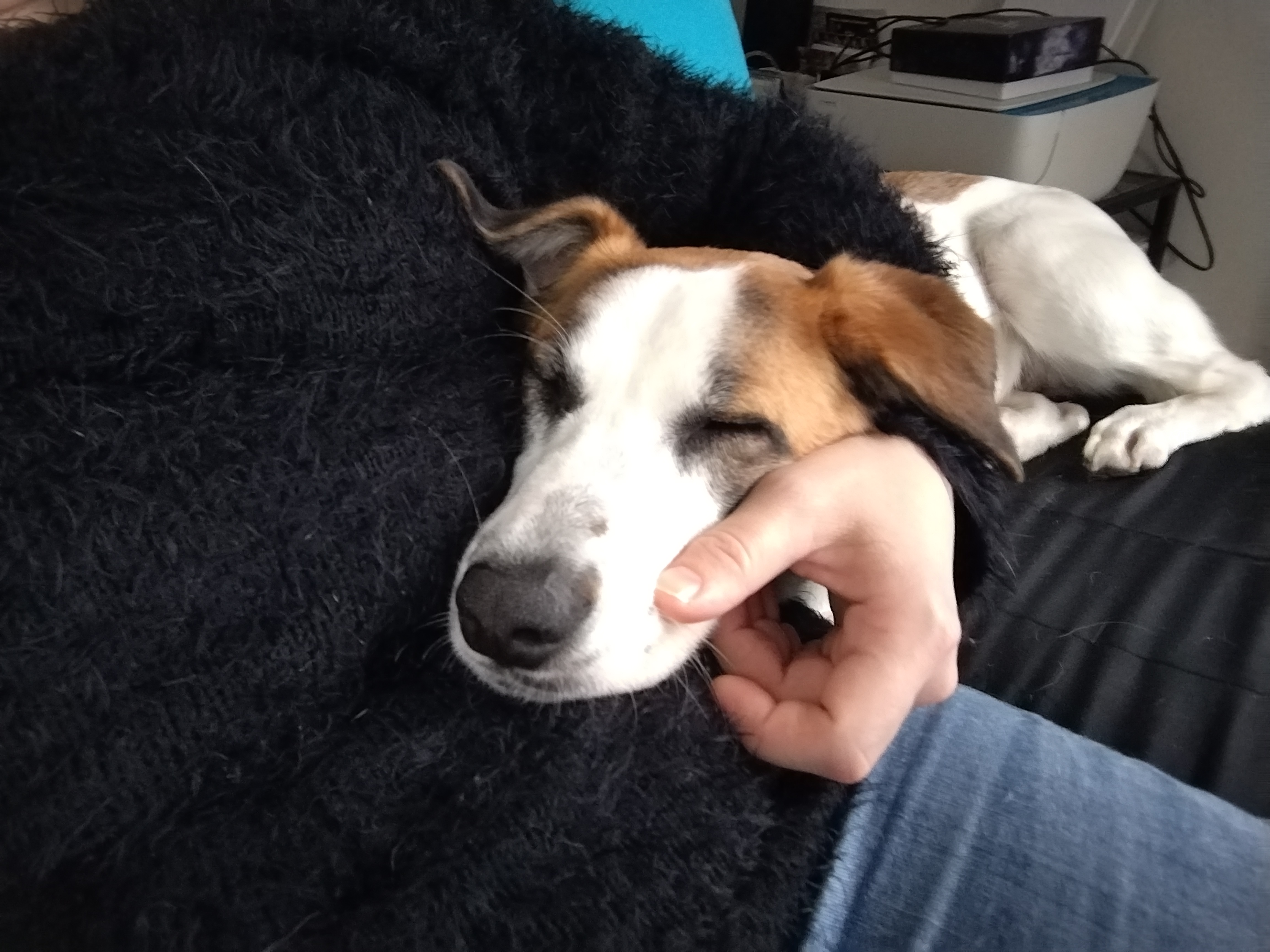 Photo n° 2 de l'avis de Aurore.r fait le 14/01/2023 à 19:29