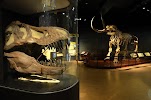 PA Museums