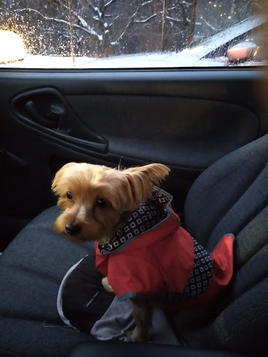 Pet Supply Store «Petco Animal Supplies», reviews and photos, 10383 Reisterstown Rd, Owings Mills, MD 21117, USA