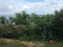 K. Lima landscaping & Cleaning, Spring Clean Up, Lawn Mowing, Mulching - Photo 6 - Car repair in Halifax, MA, Brockton