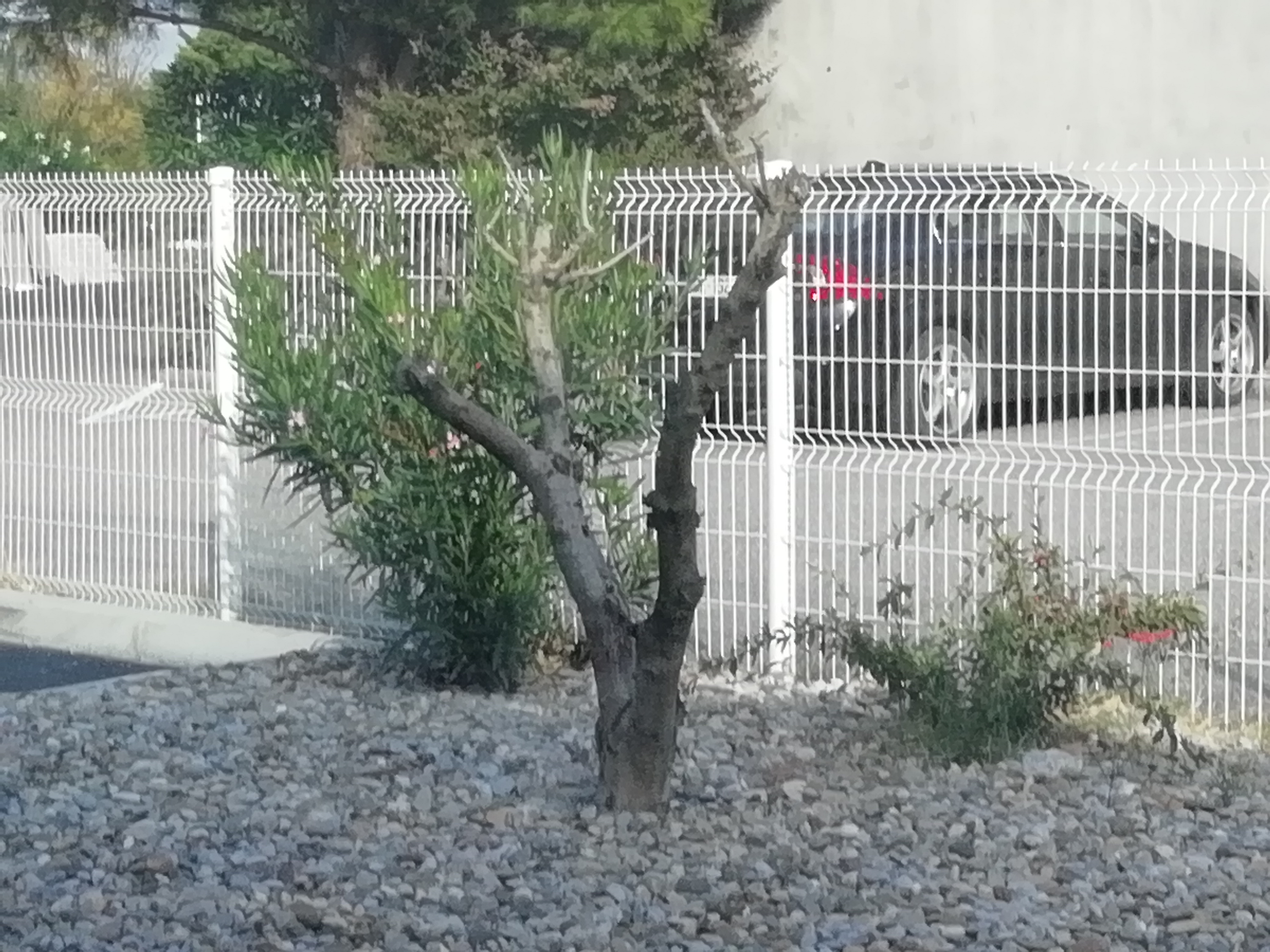 Photo n° 8 de l'avis de Carole.a fait le 15/10/2018 à 00:28