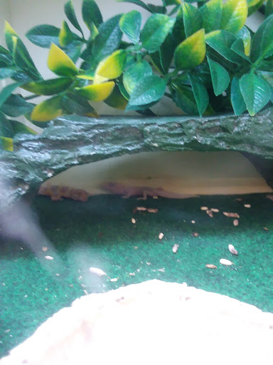 Pet Supply Store «Pet Supplies Plus», reviews and photos, 30450 Lakeshore Blvd, Willowick, OH 44095, USA