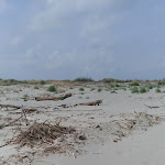 Photo n°5 de l'avis de Mirella.i fait le 23/04/2019 à 06:04 sur le  Rifugio Il Ghebo à Porto Viro