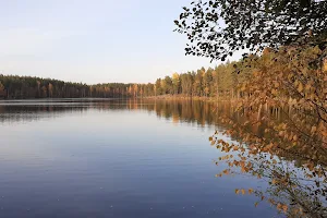 Niemisjärvi Nature Trail image