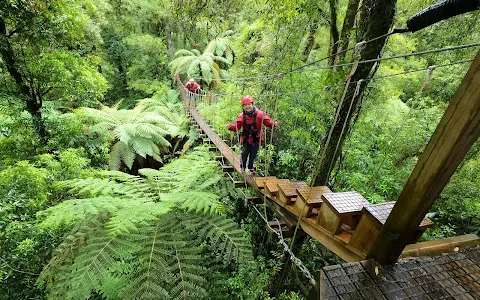 Rotorua Canopy Tours image