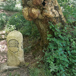 Photo n°2 de l'avis de Eva.e fait le 29/05/2023 à 16:54 sur le  Hütte 4 Machtolsheim à Laichingen