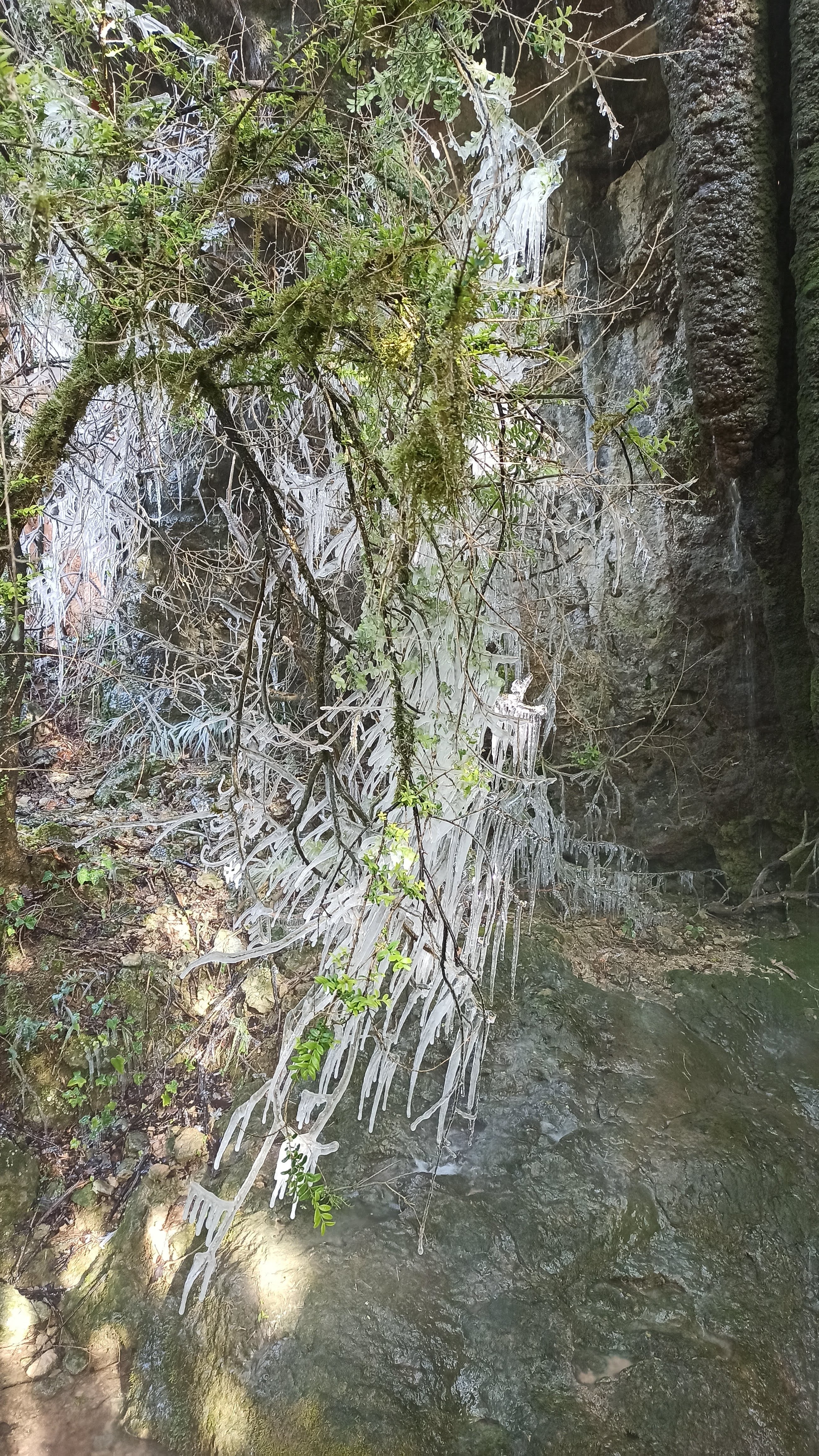 Photo n° 15 de l'avis de Veltas. fait le 30/10/2019 à 11:55