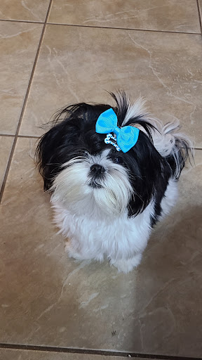 3200 S Burnside Ave, Gonzales, LA 70737, USA