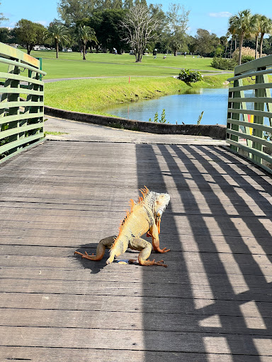 Golf Course «Biltmore Golf Course», reviews and photos, 1210 Anastasia Ave, Coral Gables, FL 33134, USA