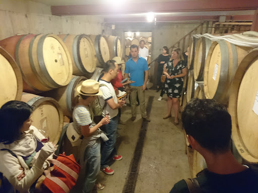 Vineyard «Cristom Vineyards», reviews and photos, 6905 Spring Valley Rd NW, Salem, OR 97304, USA