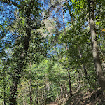 Photo n°3 de l'avis de Jürgen.u fait le 01/10/2023 à 11:53 sur le  Wallberghütte Deidesheim à Deidesheim