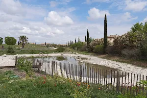 Parc Saint Hubert image