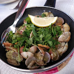 Photo n°2 de l'avis de Josu.u fait le 14/08/2018 à 07:05 sur le  Ribeira do Poço à Vila do Bispo