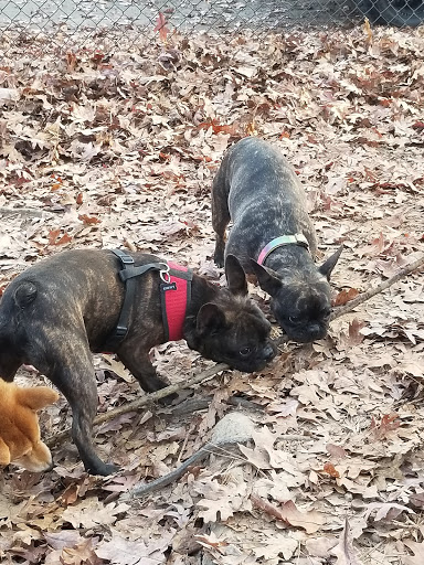 Park «Brook Run Park», reviews and photos, 4770 N Peachtree Rd, Dunwoody, GA 30338, USA