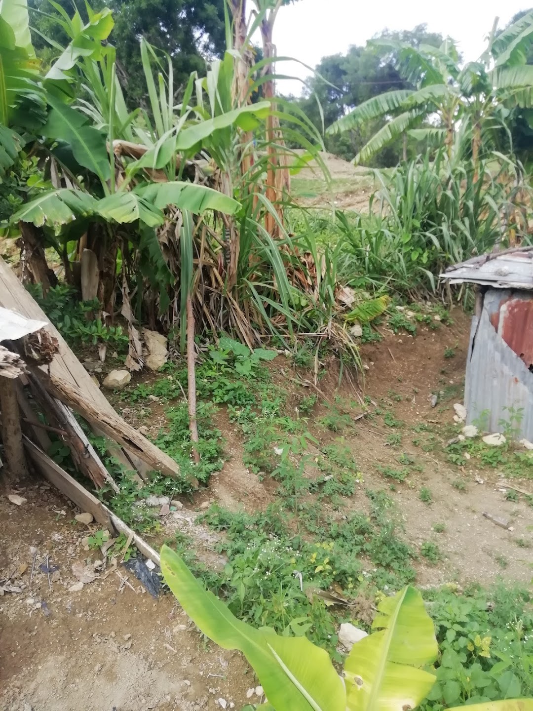 Balneario Sonador