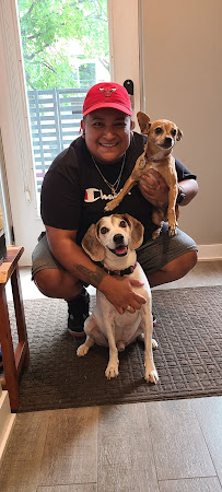 We Let The Dogs Out - Photo 5 - Car repair in Chicago, IL, Chicago