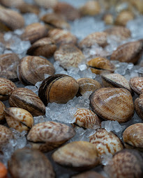 Photo n°58 de Bienvenue à Bernay ()