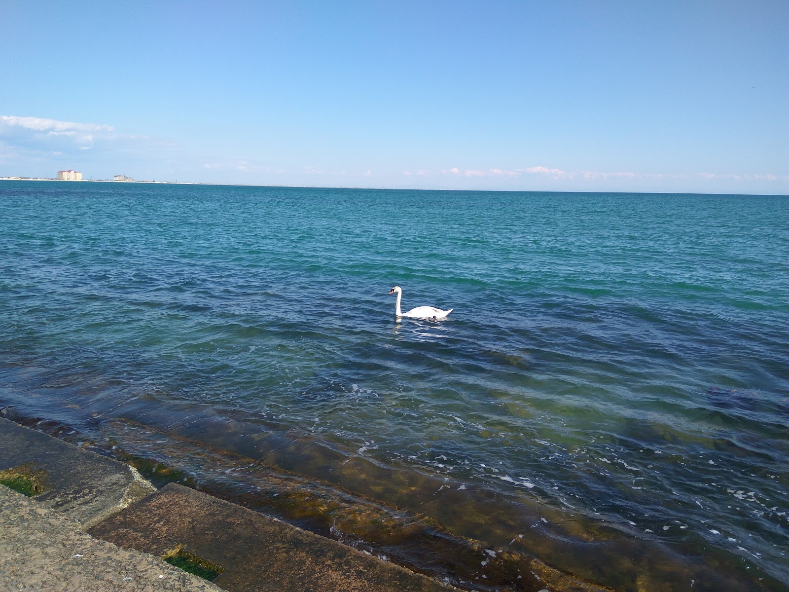 Photo de Tereshkova  beach avec rivage droit, long