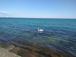Photo de Tereshkova  beach avec rivage droit, long