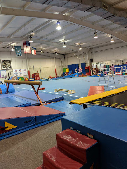 Central Carolina Gymnastics Academy - 431 9th St Ext, Lexington, NC 27295, United States