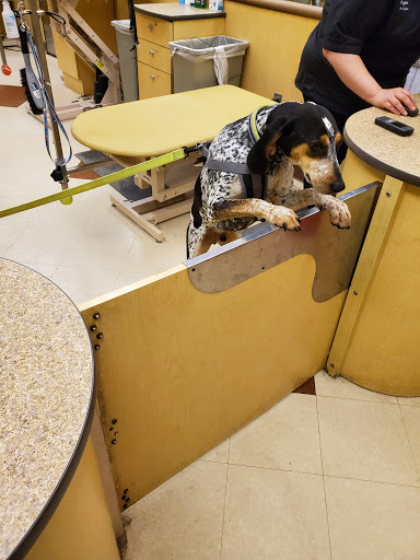 Pet Supply Store «PetSmart», reviews and photos, 2818 S Louise Ave, Sioux Falls, SD 57106, USA