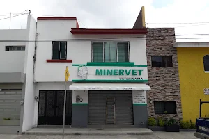 Minervet Hospital Veterinario image