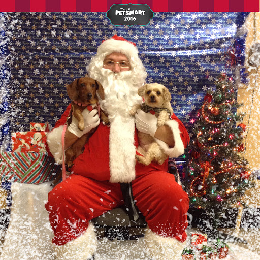 Pet Supply Store «PetSmart», reviews and photos, 1460 Koester Rd, Forsyth, IL 62535, USA