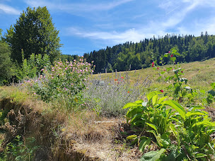 Photo n°7 de Ssam Corée à Sainte-Sigolène ()