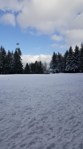 Park «Mark Twain Park», reviews and photos, 10625 132nd Ave NE, Kirkland, WA 98033, USA