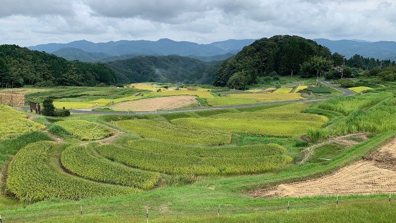 山王寺棚田展望台